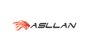 Asllan Distribuidora de Auto Peças